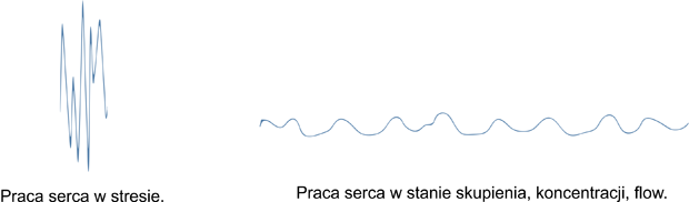 Program BiofeedbackStart